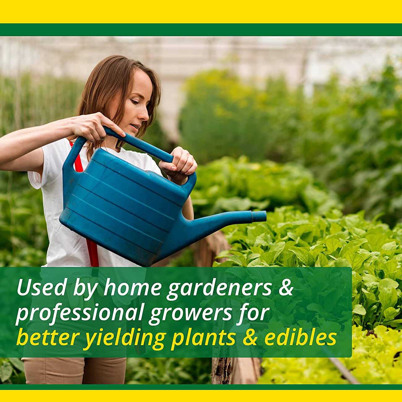 SUPERthrive Organic Liquid Plant Food 1 qt