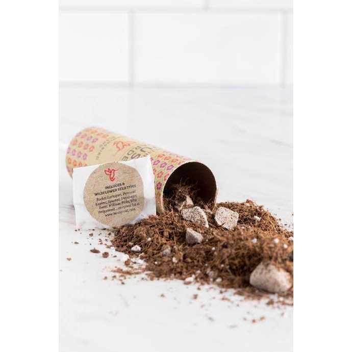 Afloral Pack of 3 – Pollinator Push Garden