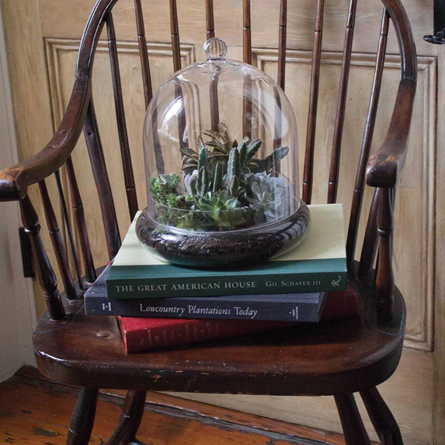 Syndicate Home Garden 6 Cloche Terrarium