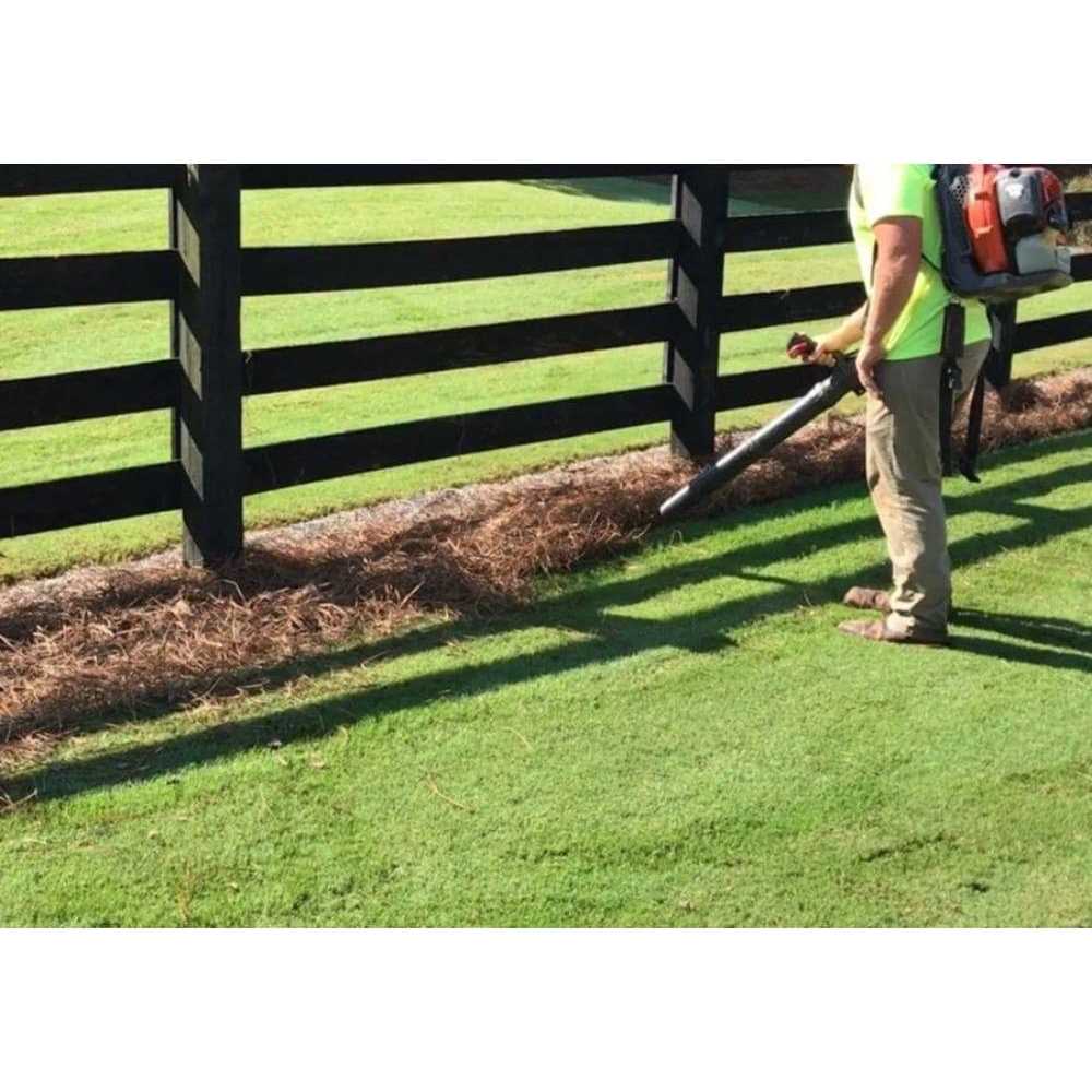 USA Pinestraw Premium Pine Straw Mulch B07LDVP4VN