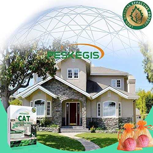 15 PCS Cat Repellent Indoor Keep Cats Out of Potted Plants and Furniture, Natural Ingredients Cat Deterrent Indoor Safe for Kids and Pets