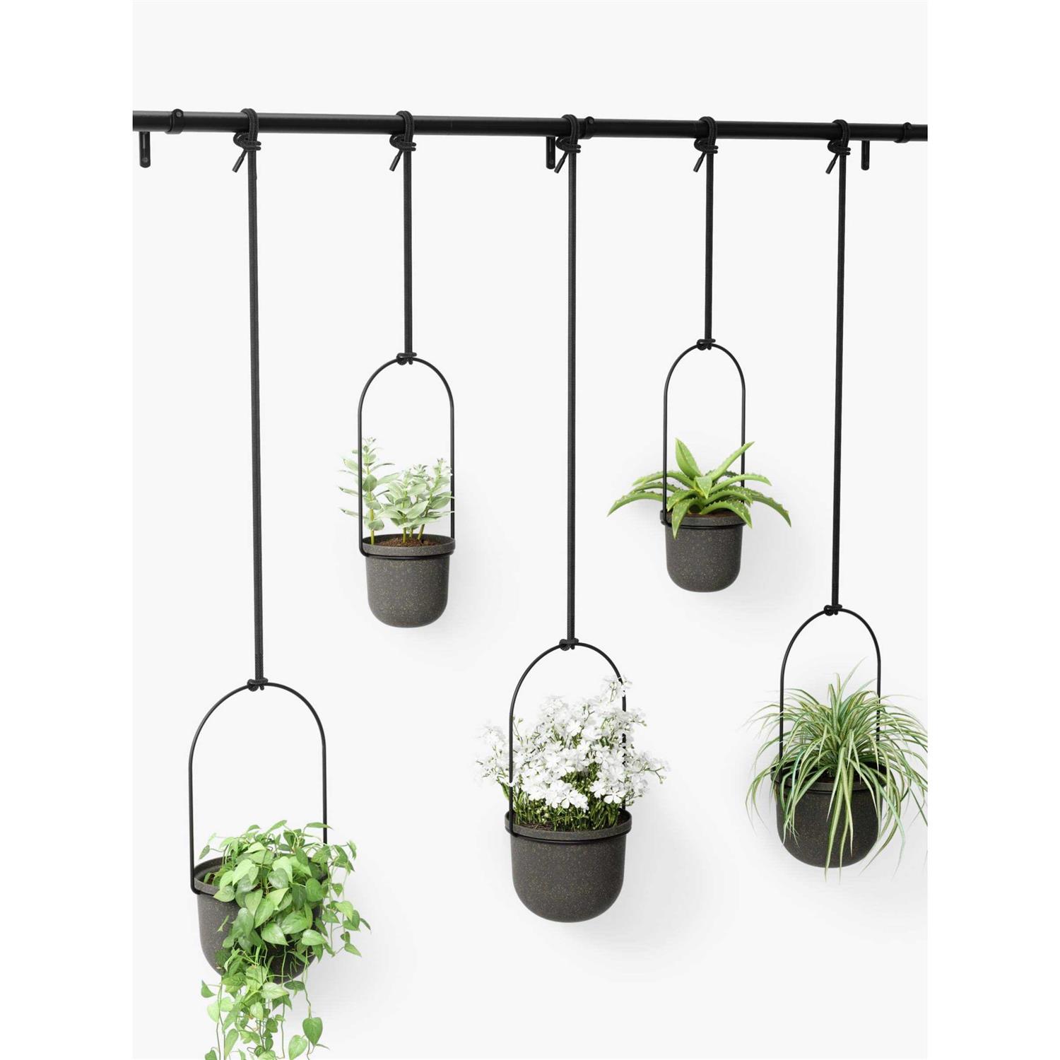 Umbra Triflora Hanging Planter
