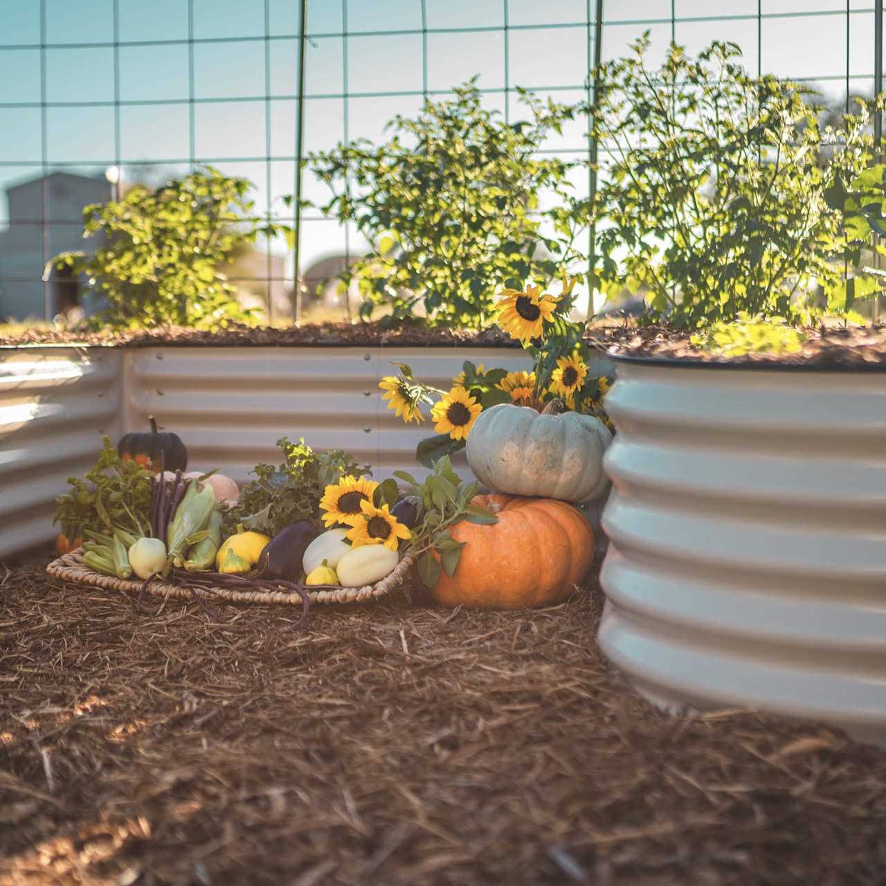 Vego Garden 17 Tall U-Shaped Raised Garden Bed Kit Standard