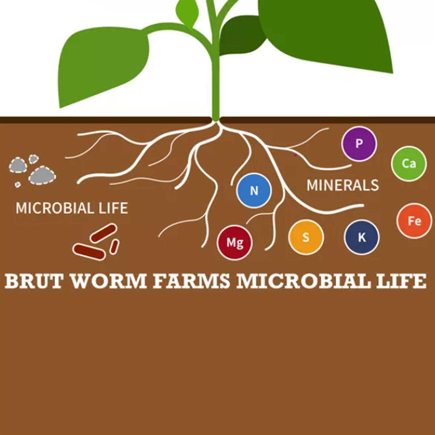 Brut Worm Farms Organic Worm Castings Soil Builder