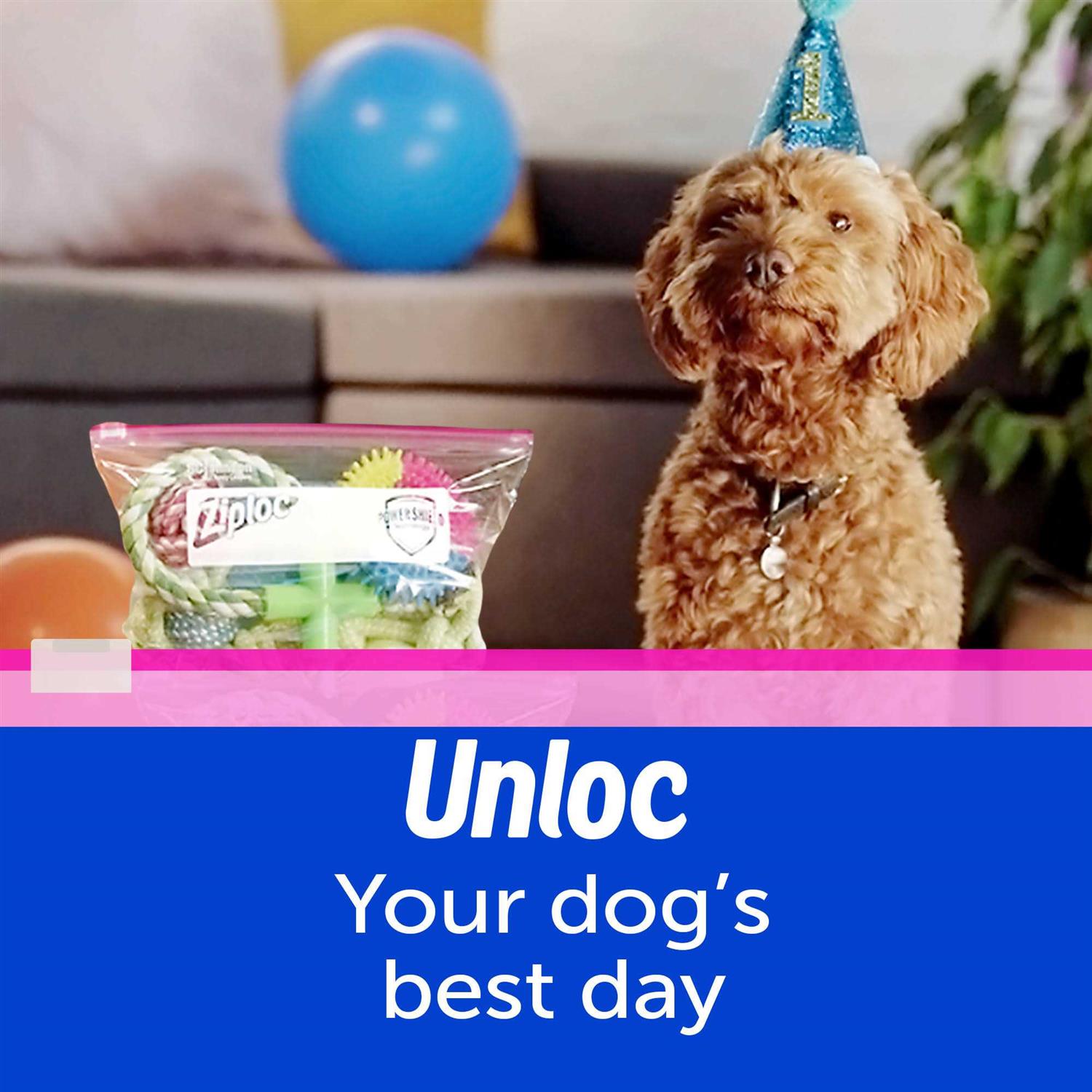 Ziploc Slider Storage Bags