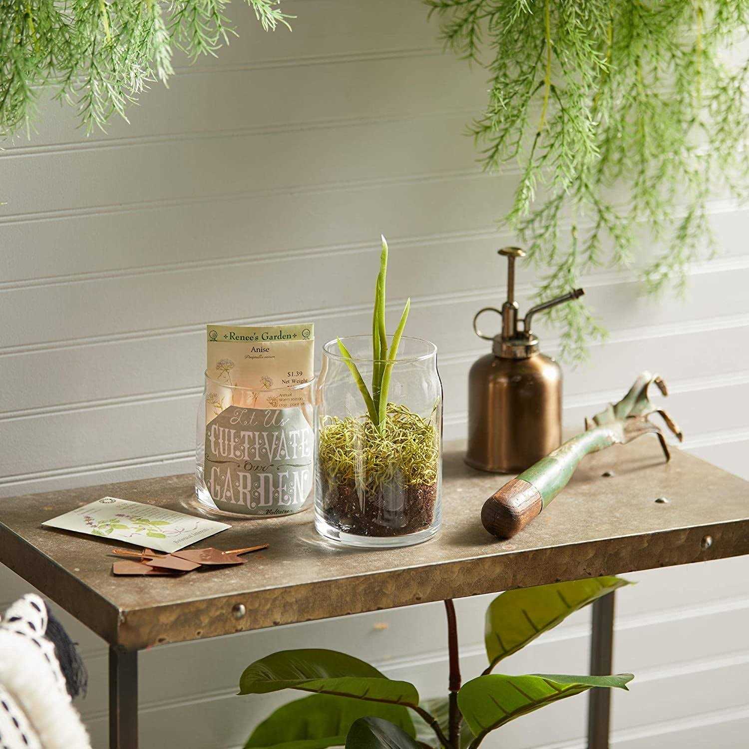 Yankee Candle Christmas Cookie Signature Large Candle Jar