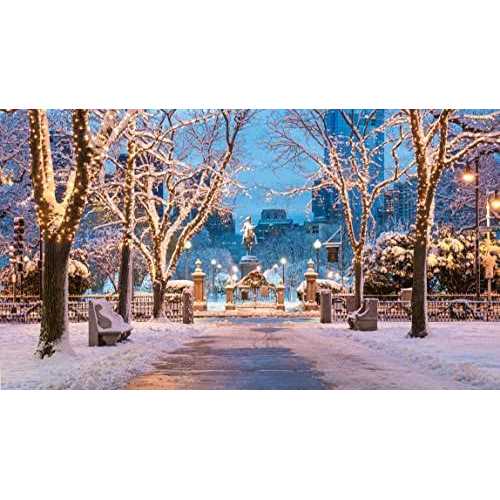 612 Vermont Clear Mini Christmas String Lights on Brown Wire Cord