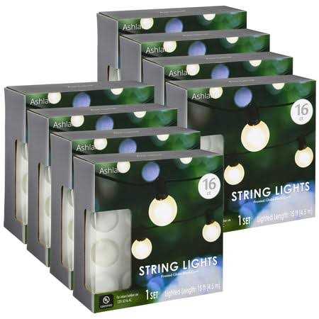 16ct. Frosted Globe String Lights by Ashland