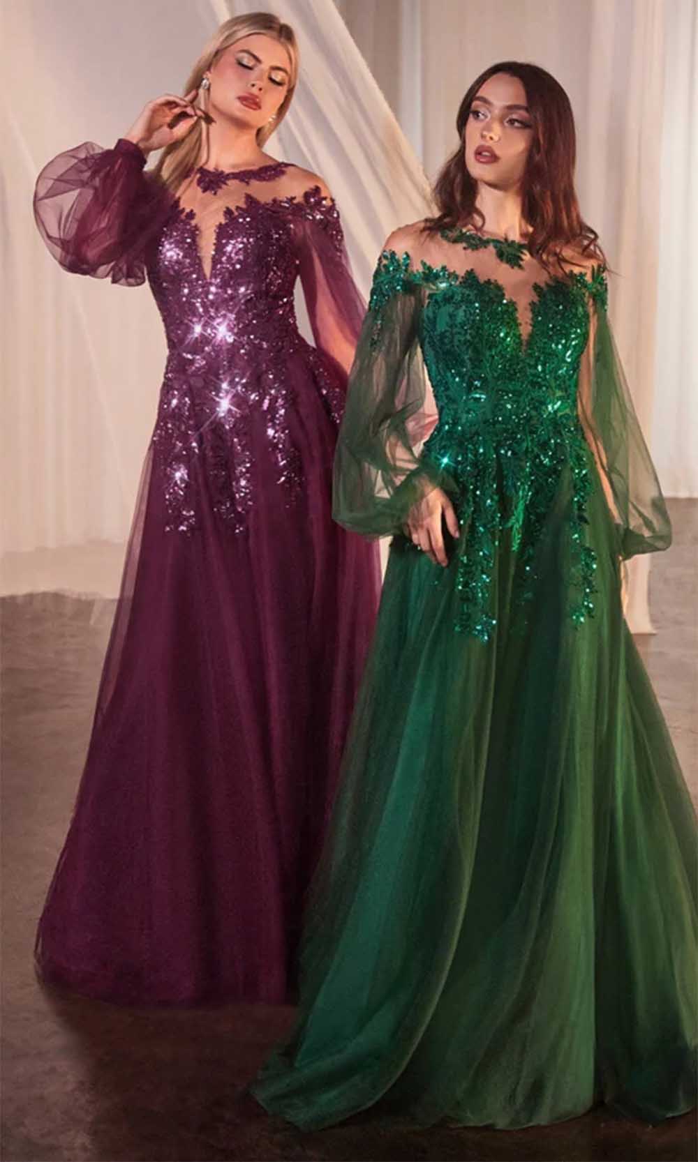 Bishop Sleeve Evening Gown