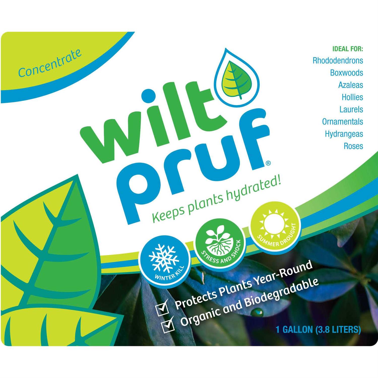 Wilt Pruf Concentrate