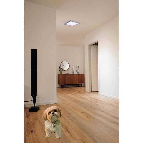 Amax Lighting LED,Platter Square Light