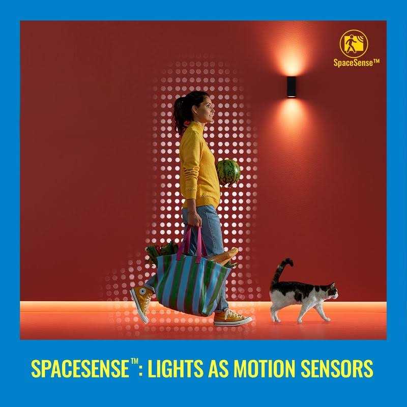 WiZ Indoor Motion Sensor