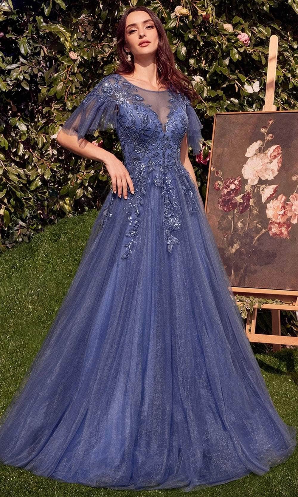 Flutter Sleeve Tulle Evening Gown