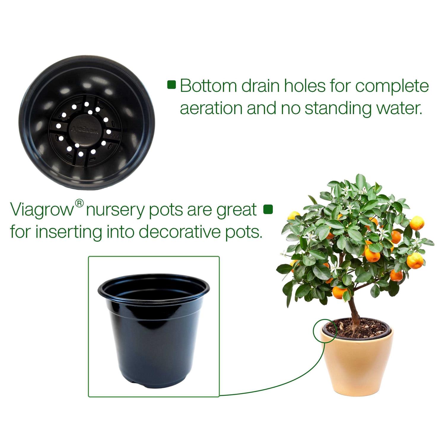 Viagrow Plastic Nursery Pots