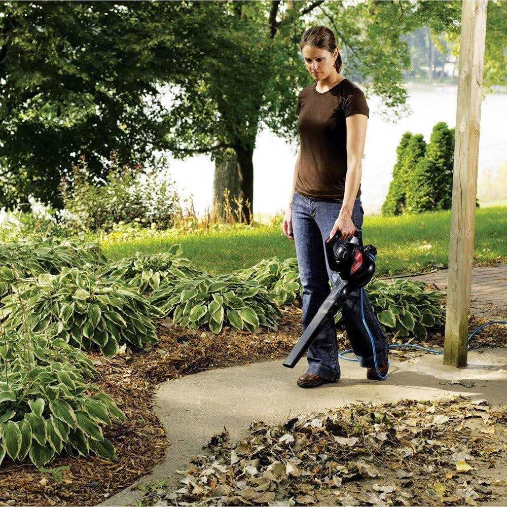 Toro Power Sweep 51585