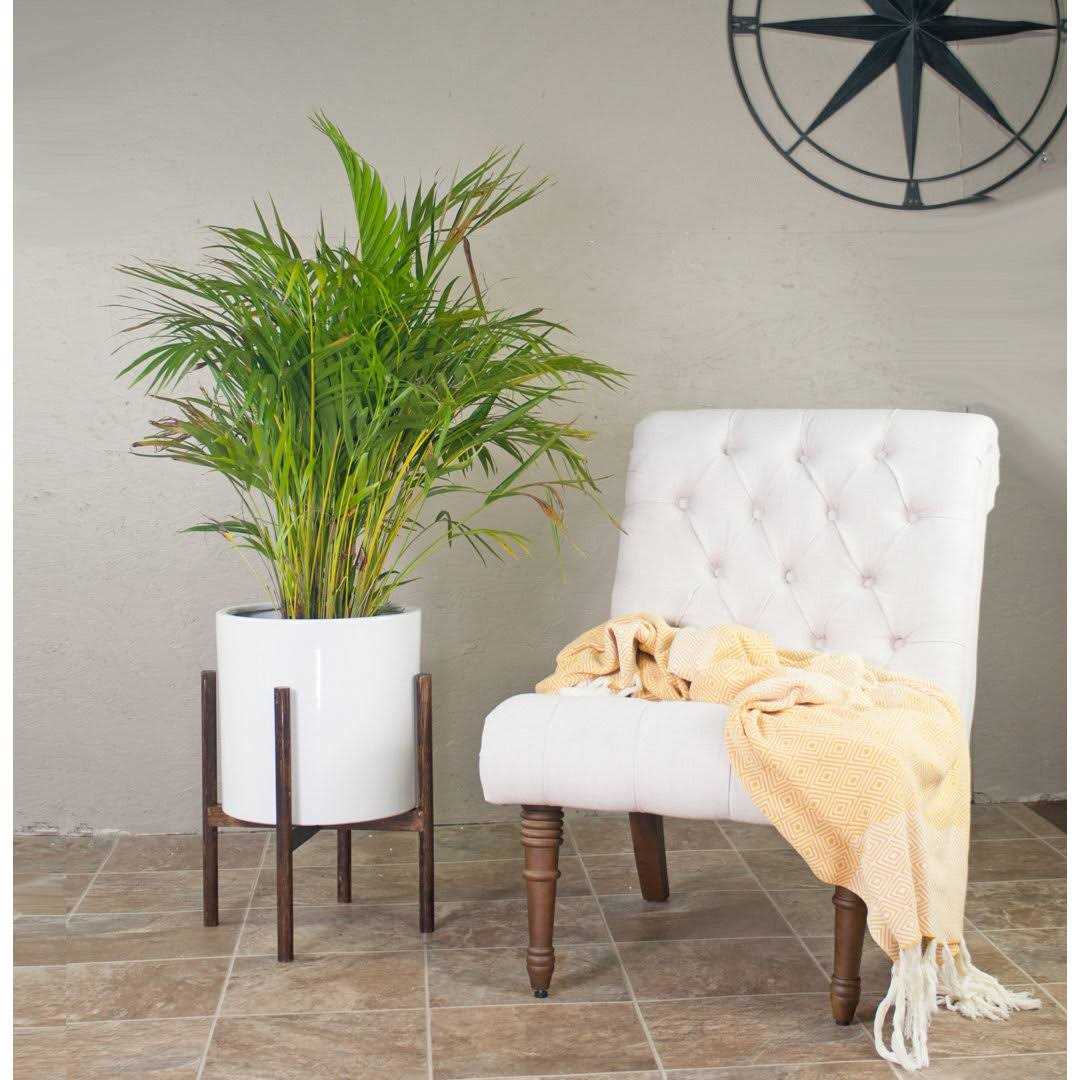 Birch Lane™ Bunkerville Ceramic Pot Planter