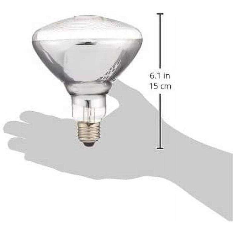 American DJ LL PAR38 150W Lamp for Par-38