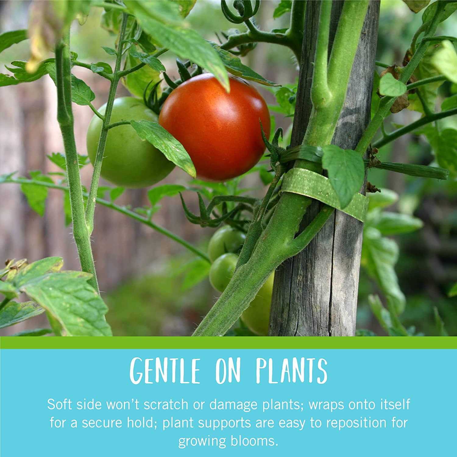 Velcro One Wrap Garden Ties