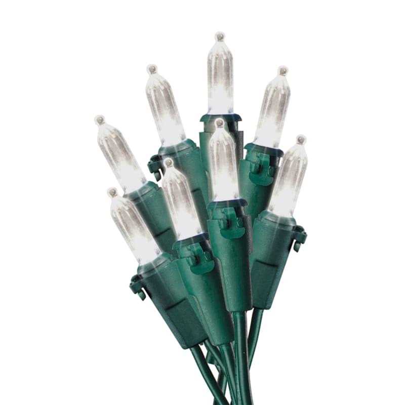 Sylvania 100 Count Warm White Mini LED Light Set
