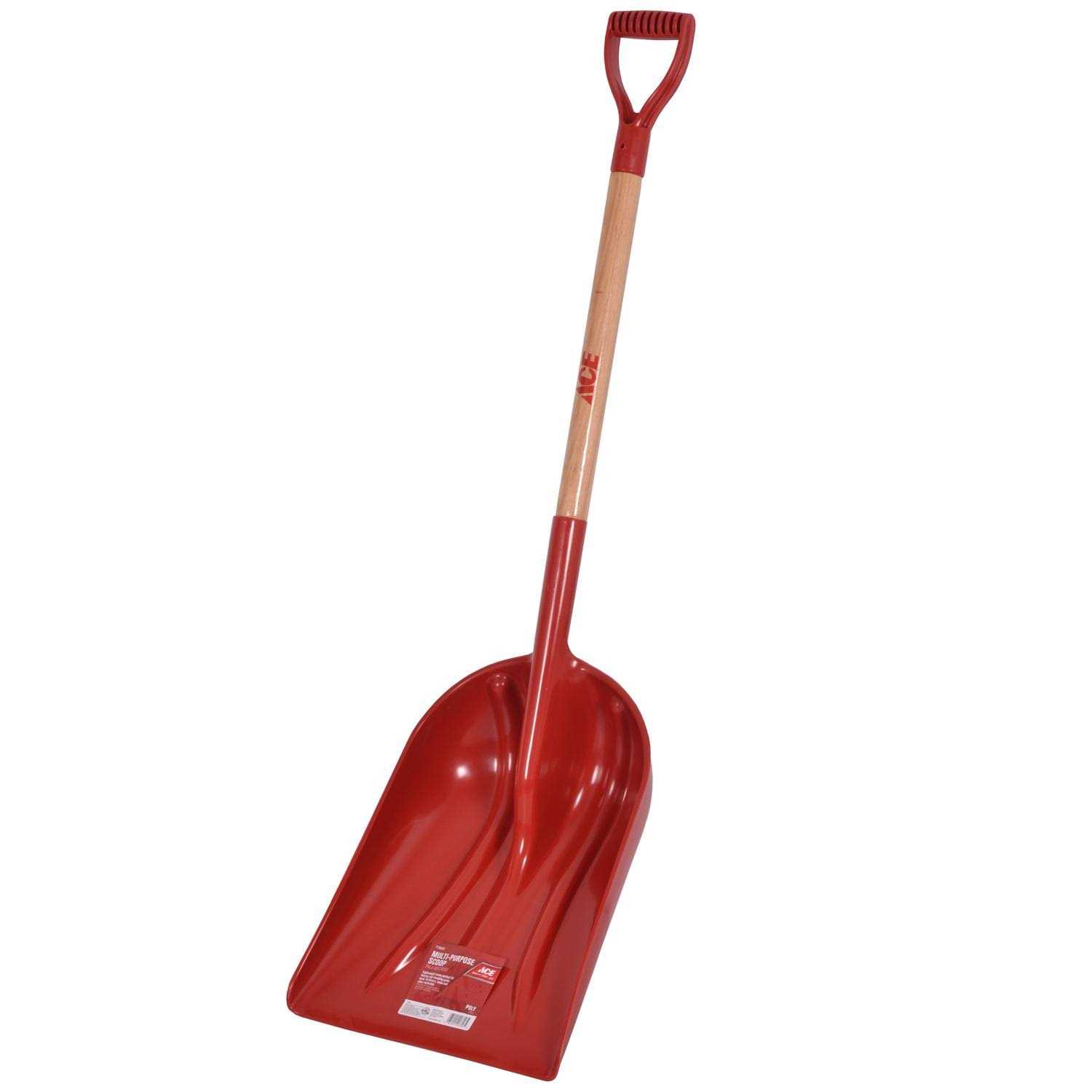 Ace Poly Grain Scoop