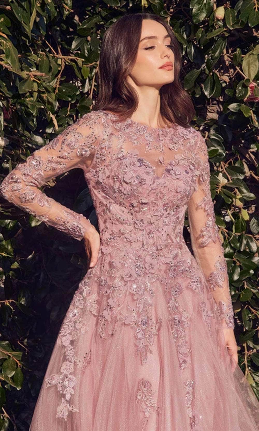 Illusion Long Sleeve Evening Gown