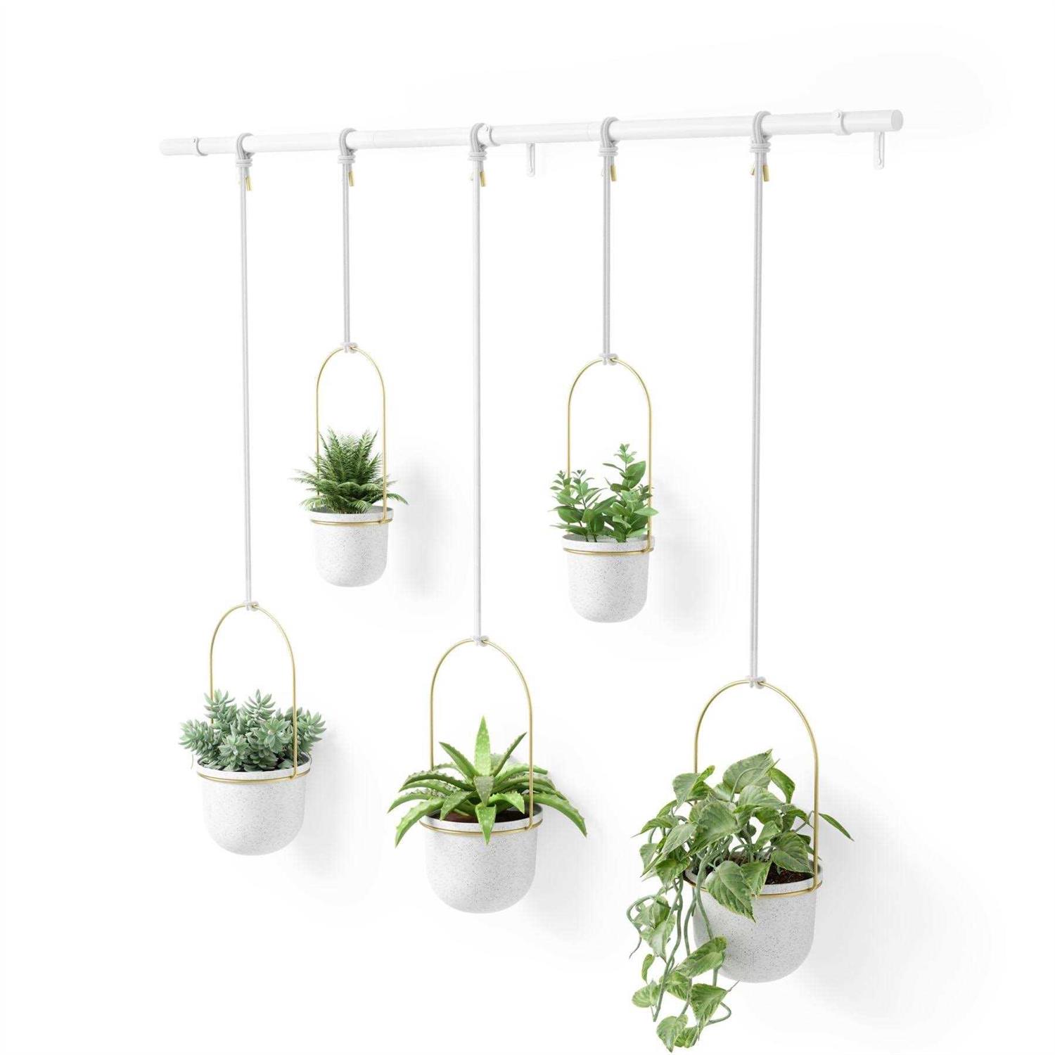 Umbra Triflora Hanging Planter