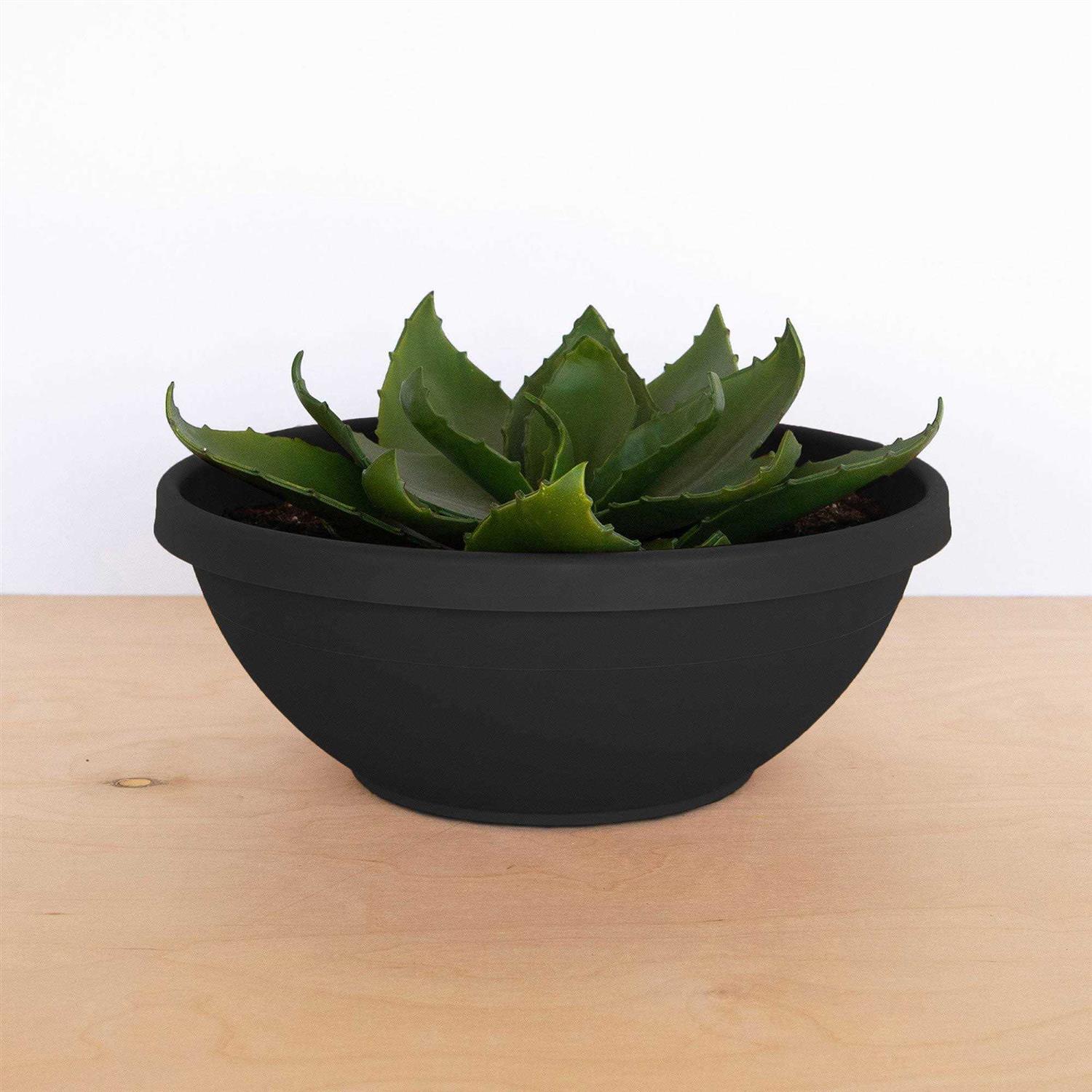 Bloem Terra Bowl Planter