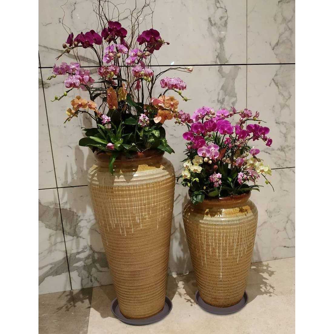 Angde 6 Pack Plant Saucer Plant Round