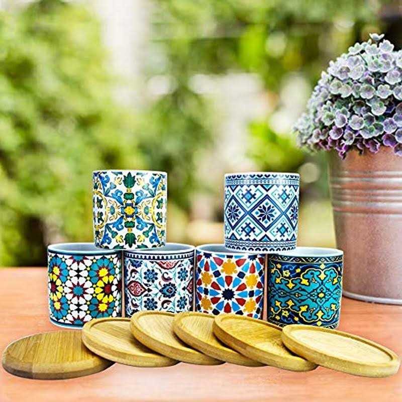 Ascrafter 6 Pack Mandala Succulent Plant Pot with Bamboo Trays