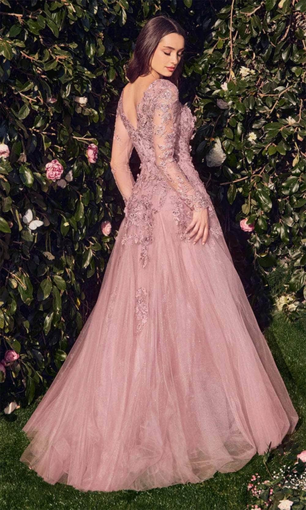 Illusion Long Sleeve Evening Gown