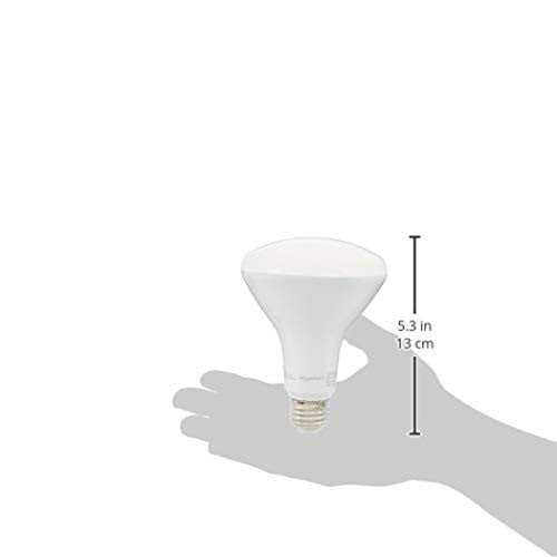 Amazon Basics BR30 LED Light Bulb 65W Equivalent