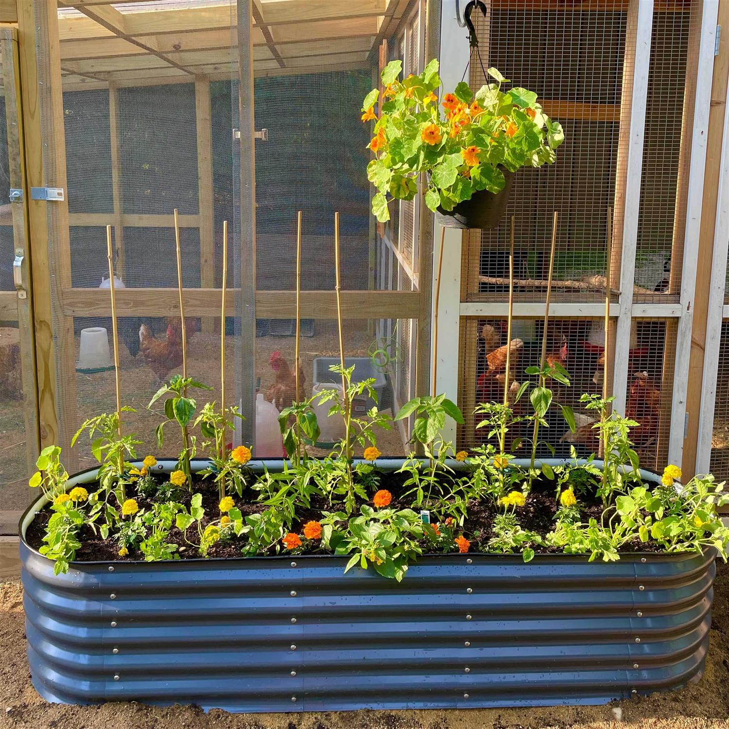 Vego Garden 17 Tall 6 In 1 Modular Metal Raised Garden Bed Kit