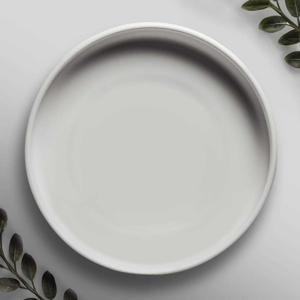 Willowy Matte White ceramic Pot Saucer Drainage Tray