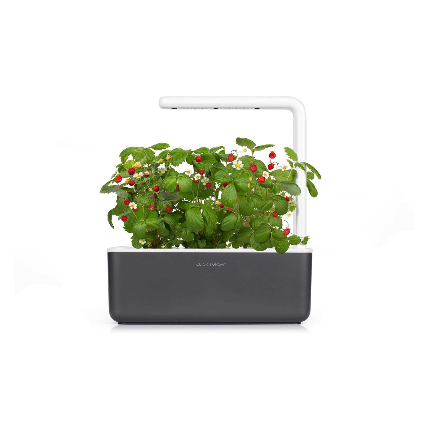 Click Grow Smart Garden 3