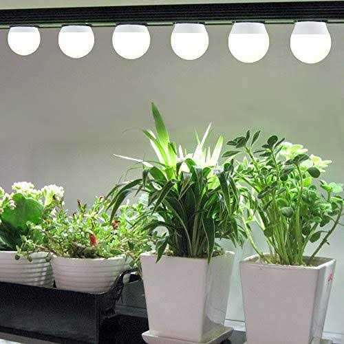 Wiyifada 3 Pack Grow Light Bulb Indoor Grow Light,A19 Full Spectrum Plant Light Bulb,E26 110V 9W Grow Bulb Replace up to 100W