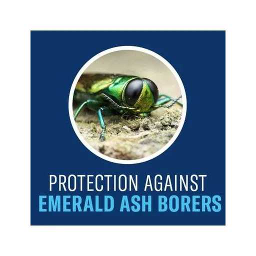 BioAdvanced Concentrate Tree & Shrub Protect & Feed