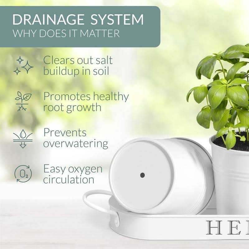 Barnyard Designs Herb Planter Set with Tray Indoor Garden or Outdoor