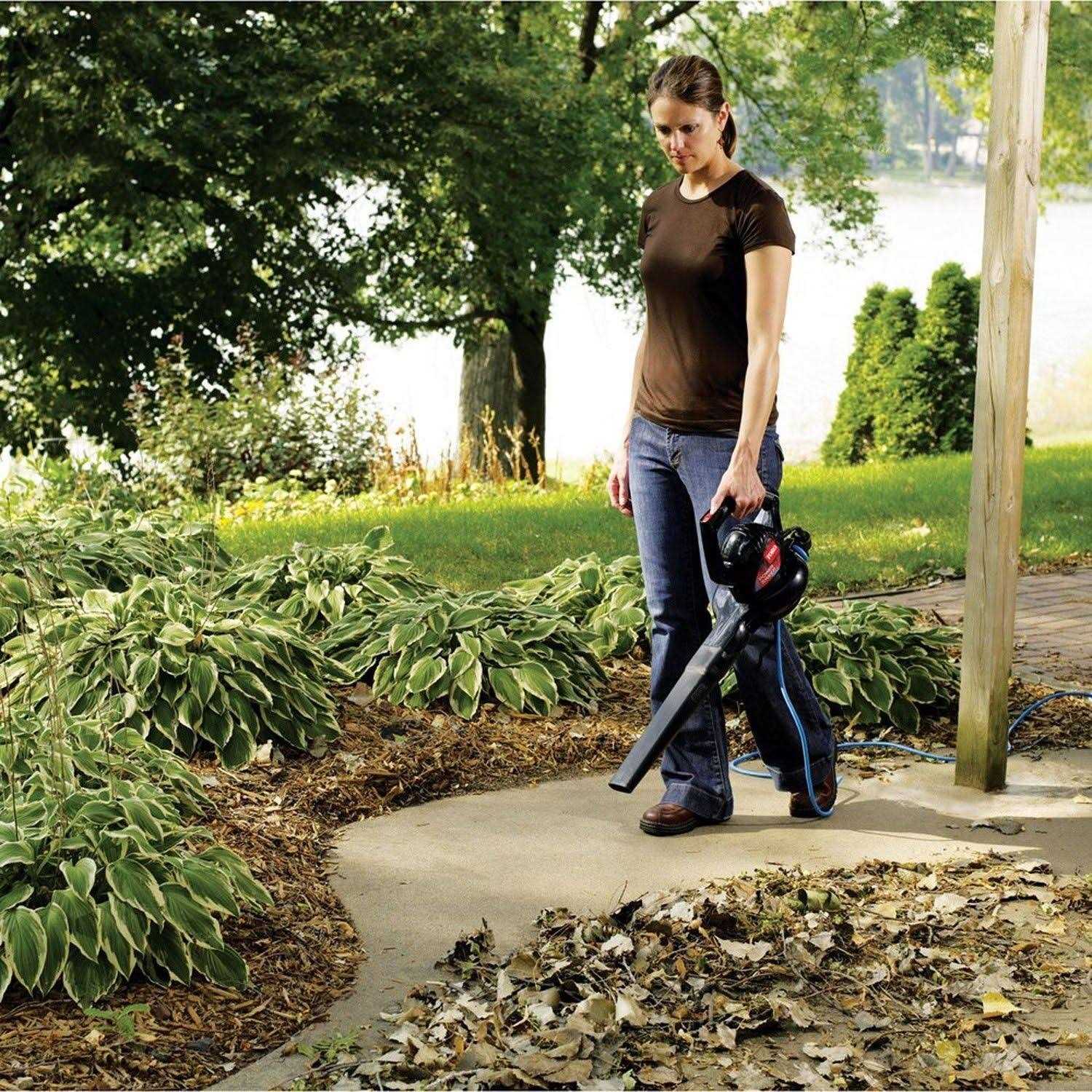 Toro Power Sweep 51585