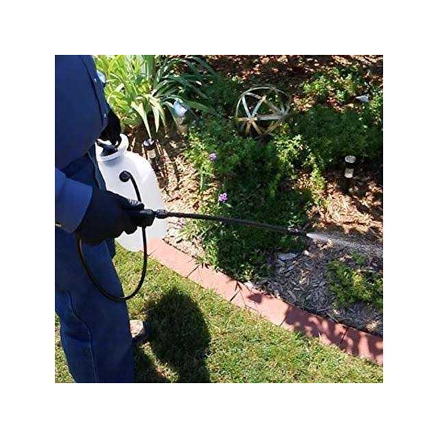 Chapin Lawn and Garden 1-Gallon Sprayer 20000