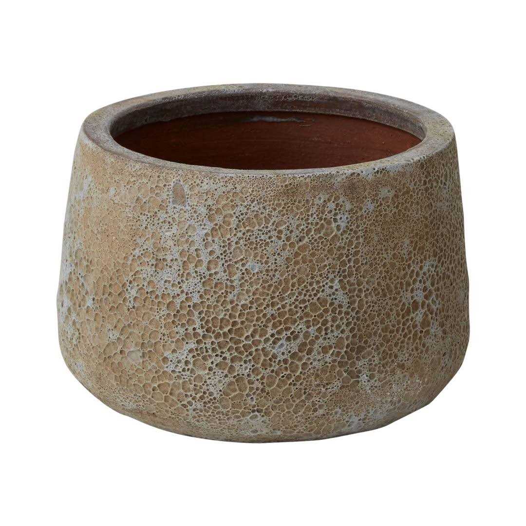 Birch Lane™ Adderley Ceramic Pot Planter
