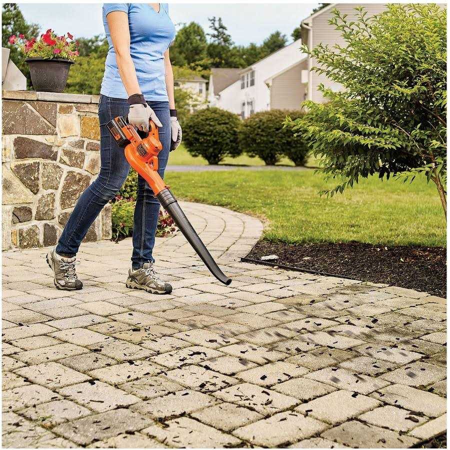 Black & Decker LCC221