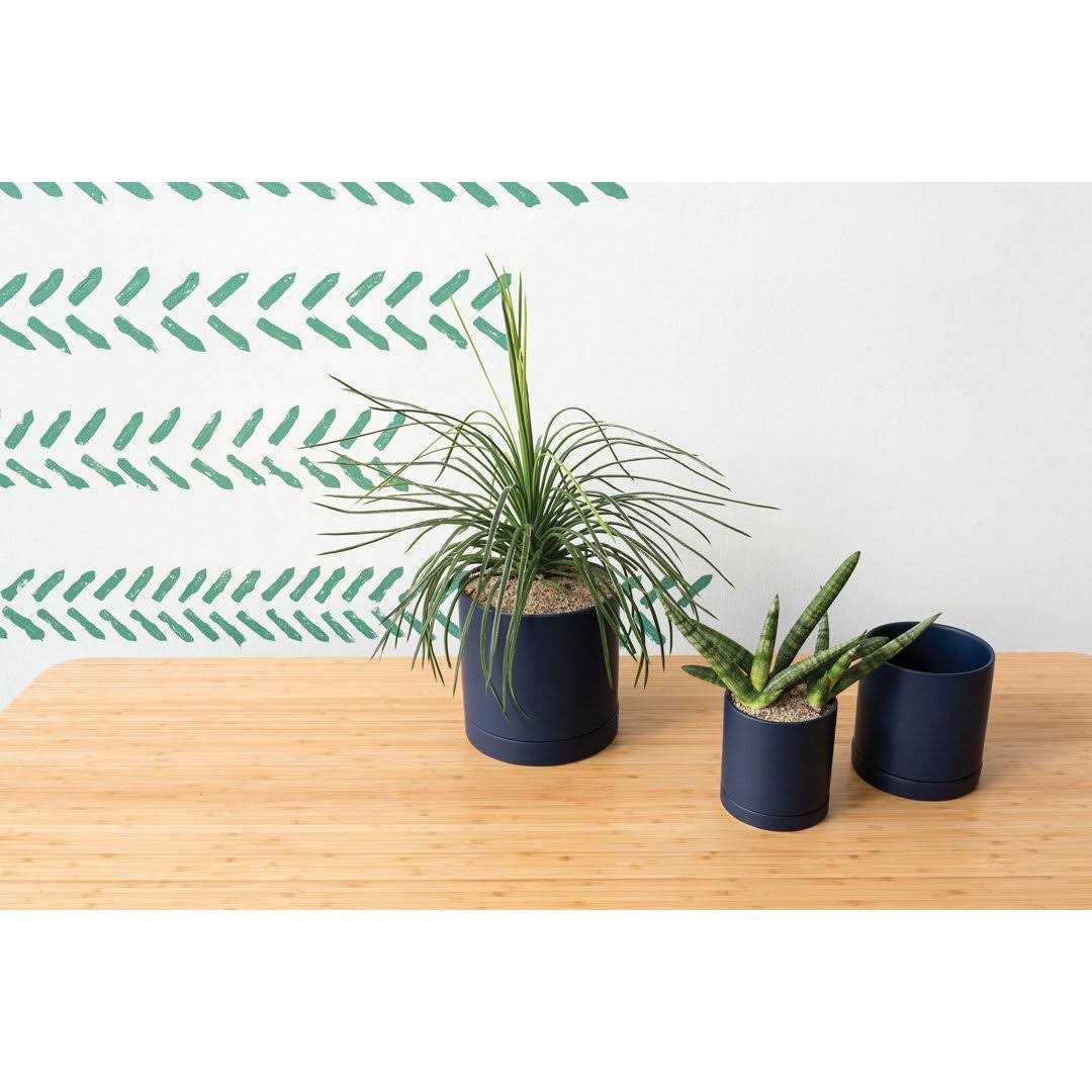 AllModern Carlotta Ceramic Pot Planter