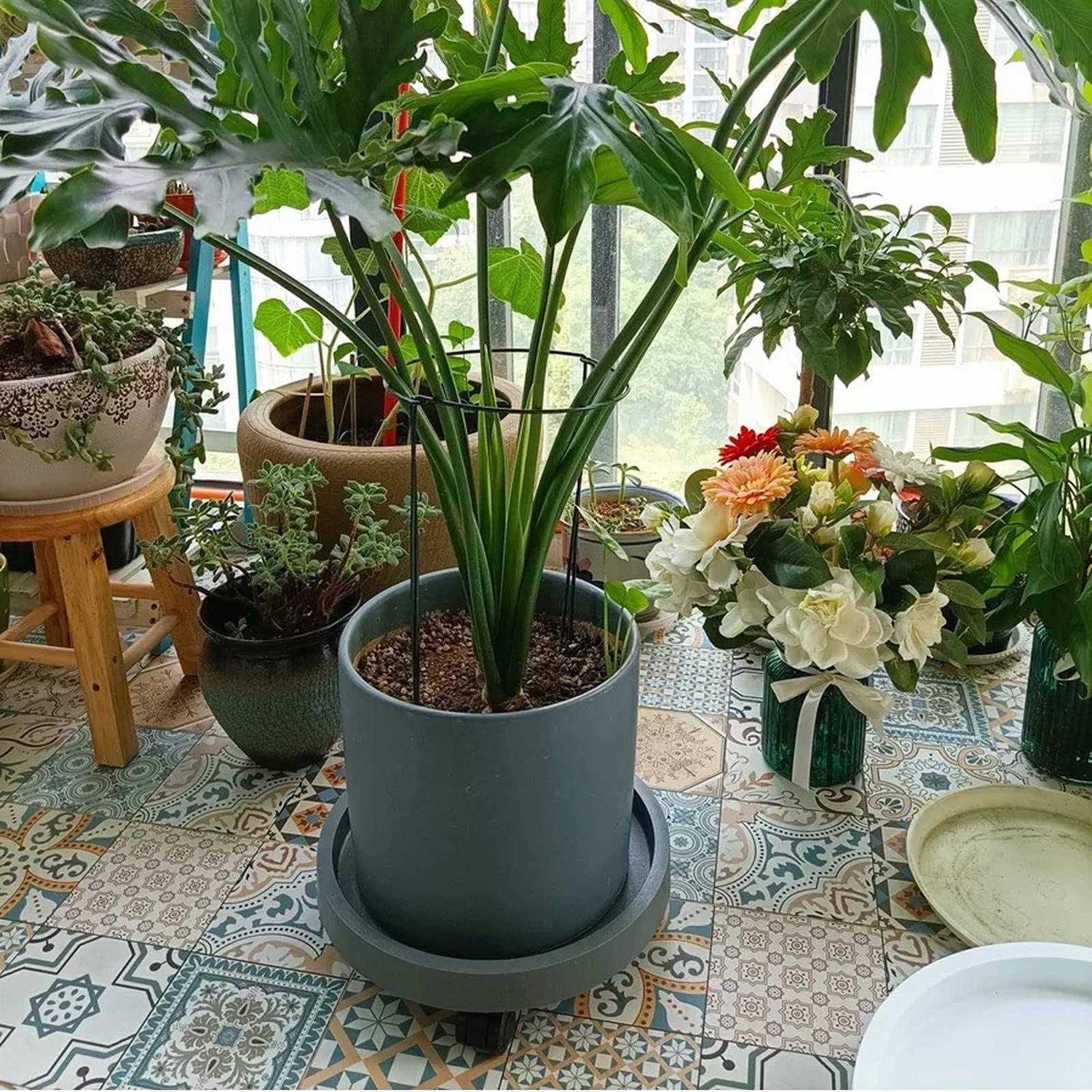 WanderingDonkey 2 Pack of 11 Inch Heavy Duty Plant Caddy with Wheels,Rolling Plant Stand Pot Trolley,Wheeled Planter Saucer Tray,Potted Flower Mover Dolly w