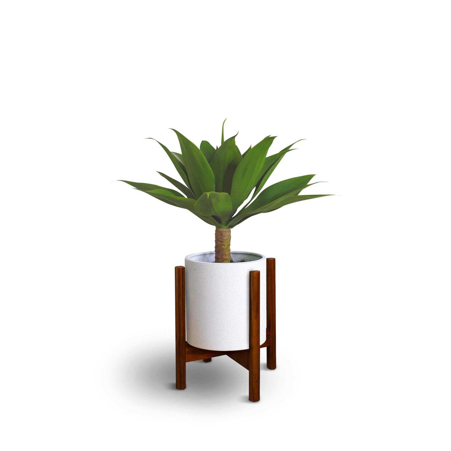 Casual Home Mid-Century Modern Wood Plant Display Stand