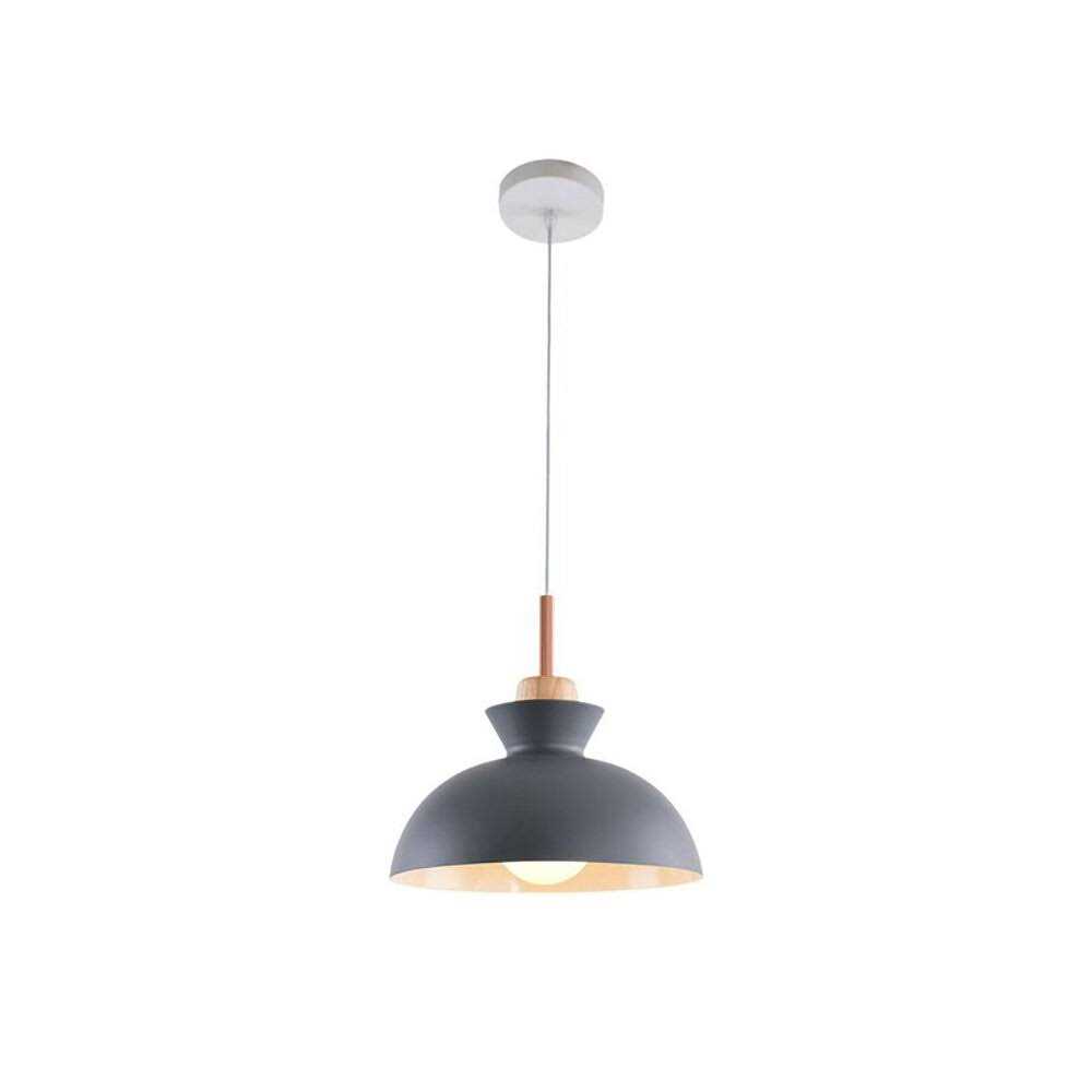 Zipcode Design™ Brashear 1 Light Single Dome Pendant Shade