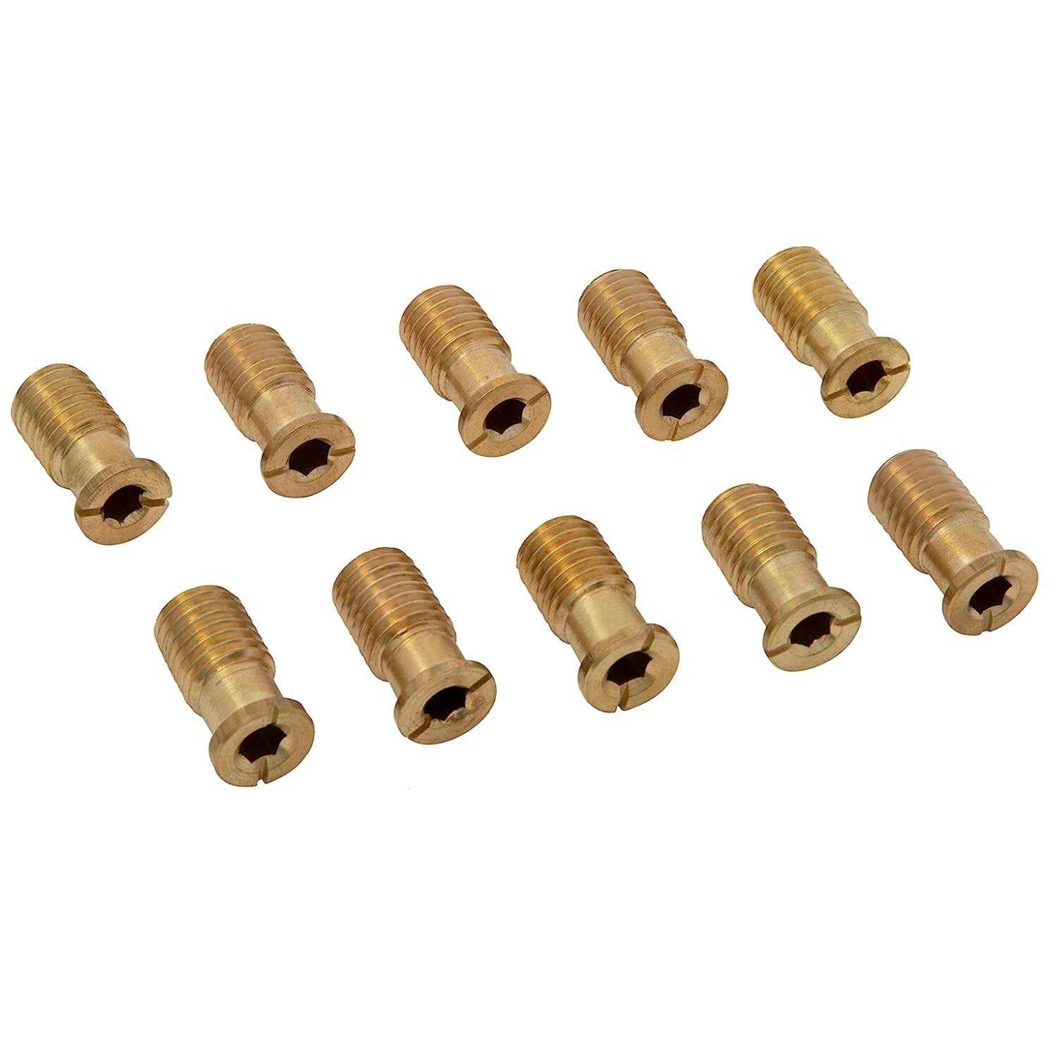 Wood Grip Pool Cover Brass Anchor Head Screw Bolt