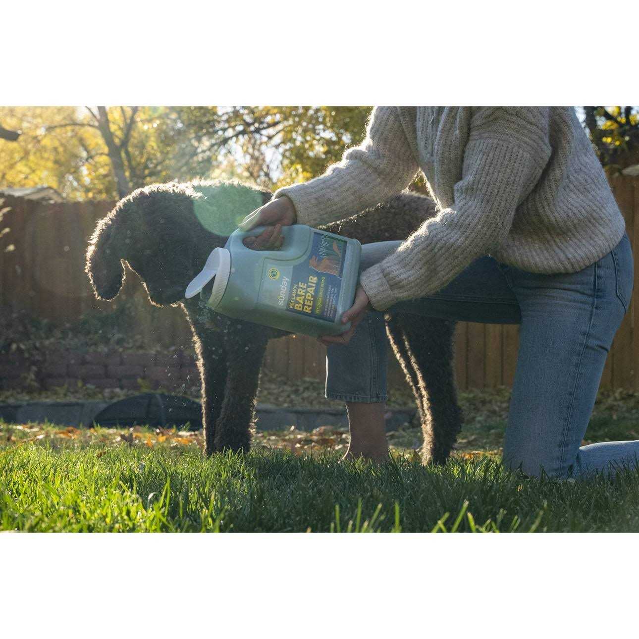 Sunday Pet Lawn Bare Repair Grass