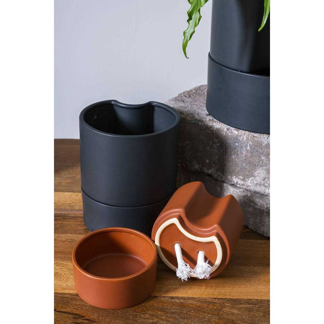 AllModern Patti Self-Watering Ceramic Pot Planter