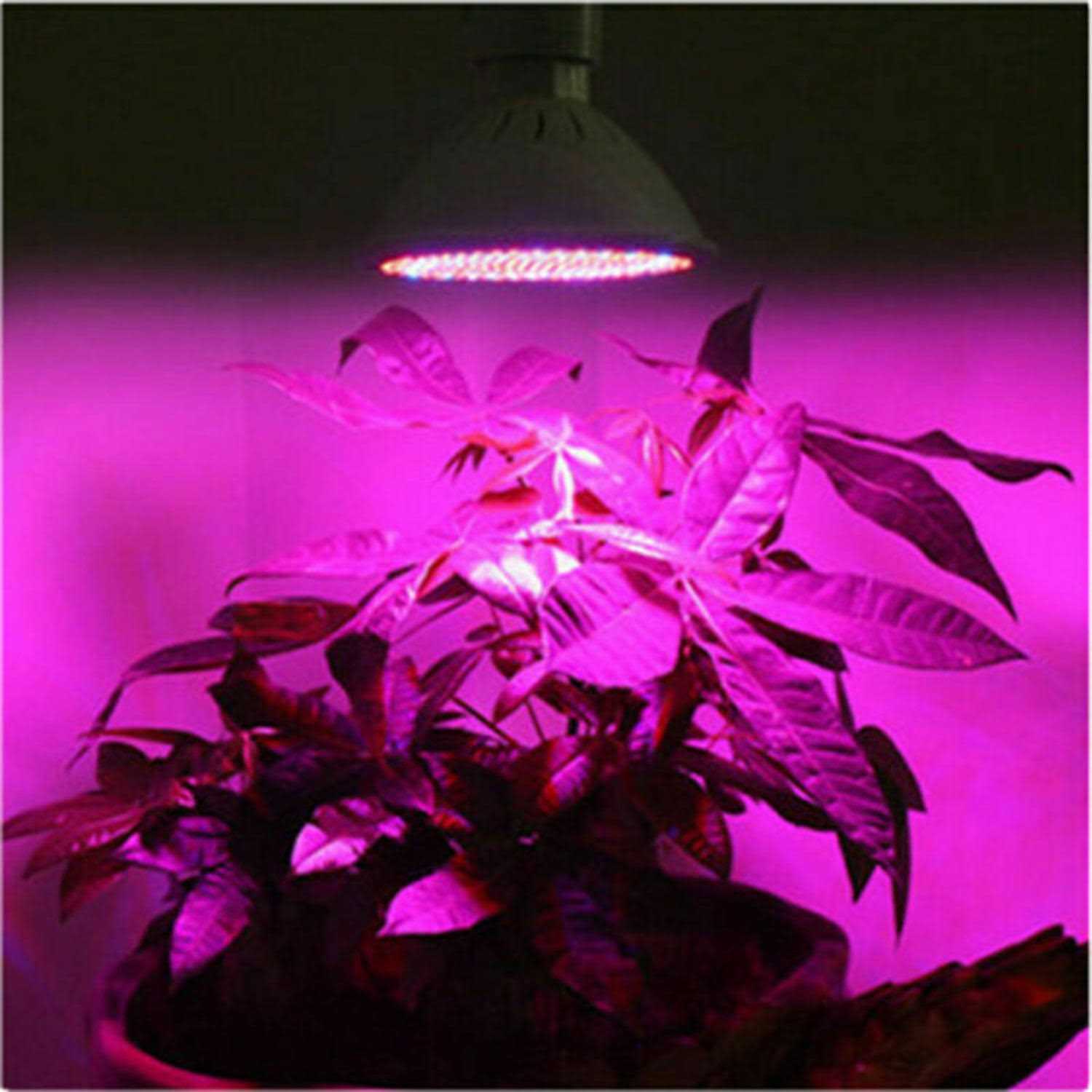 200 LED Grow Light UV IR Growing Lamp for Indoor Hydroponic Plant w/Desk Clip