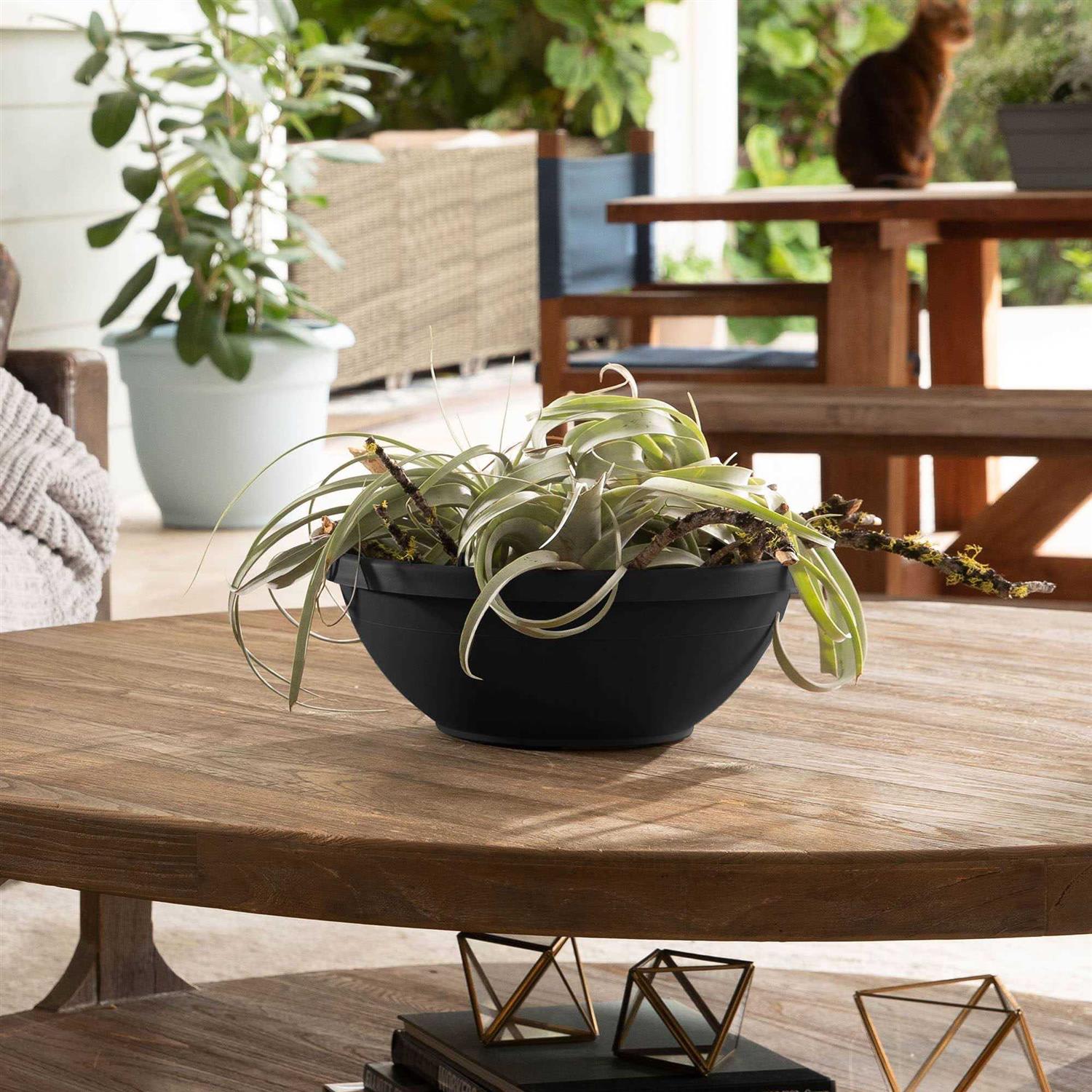 Bloem Terra Bowl Planter